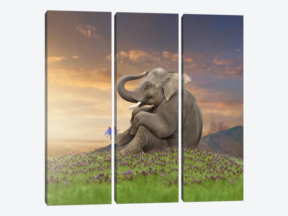 Peaceful Pachyderm by Lund Roeser 3-piece Canvas Print