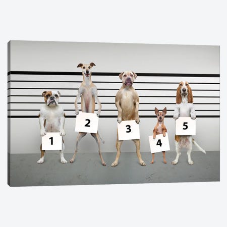 Canine-Line-Up I Canvas Print #LDZ11} by Lund Roeser Canvas Artwork