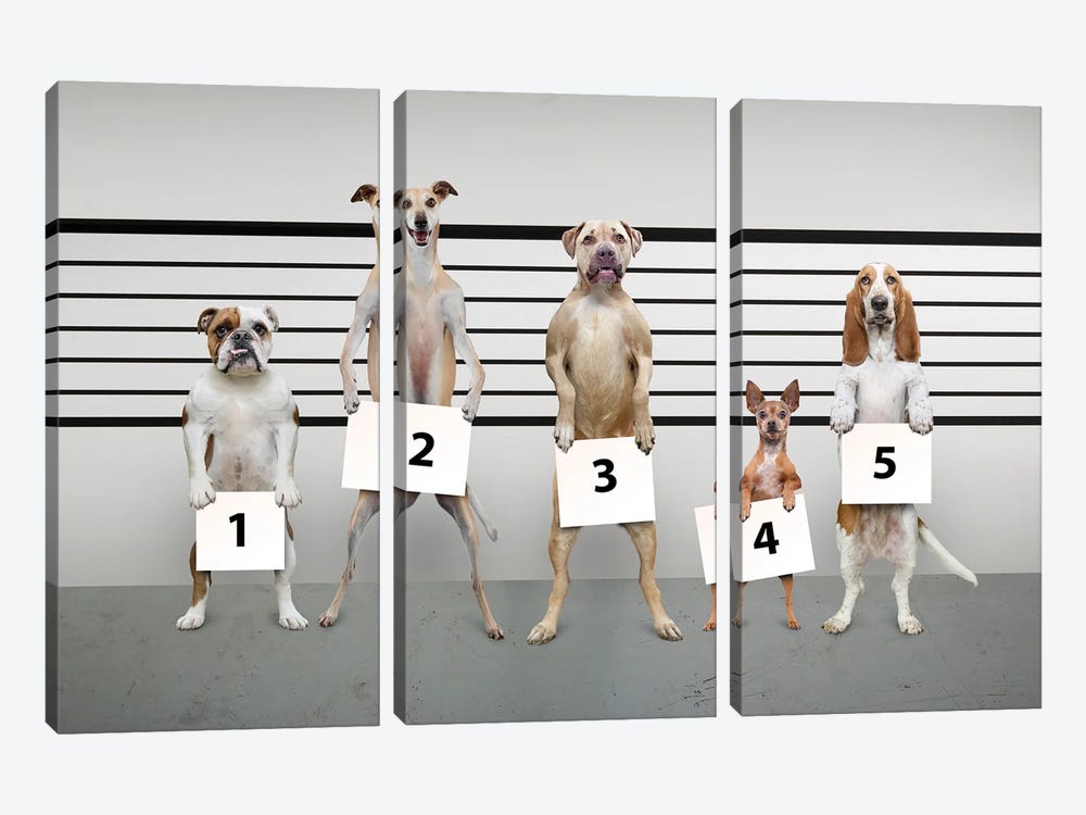Canine-Line-Up I by Lund Roeser 3-piece Art Print