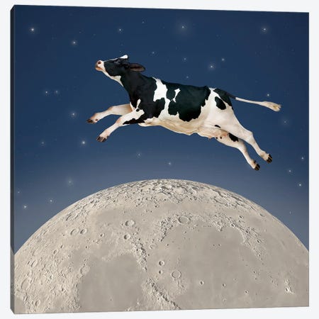 Over The Moon Canvas Print #LDZ123} by Lund Roeser Canvas Artwork