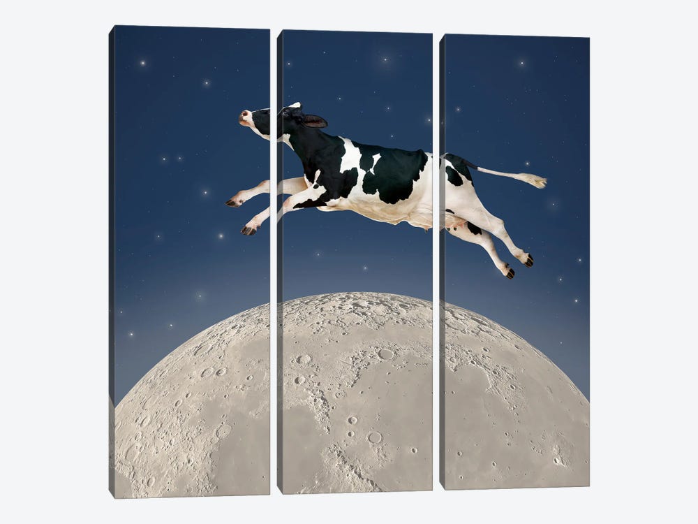 Over The Moon by Lund Roeser 3-piece Canvas Wall Art