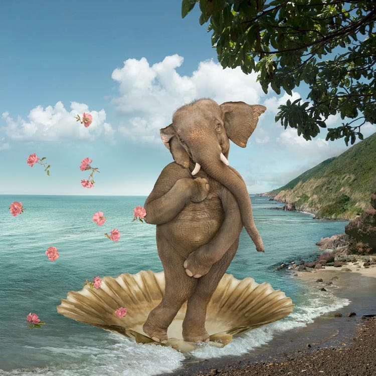 Birth Of Venus Elephant Parody