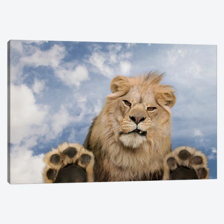 Leering Lion Canvas Print #LDZ126} by Lund Roeser Art Print