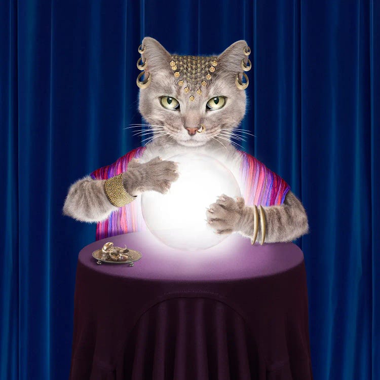 Fortune-Telling Cat