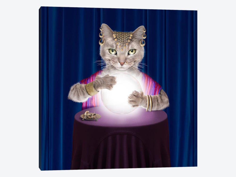 Fortune-Telling Cat by Lund Roeser 1-piece Canvas Art