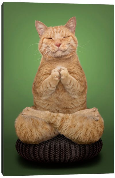 Meditating Cat Canvas Art Print - Yoga Art