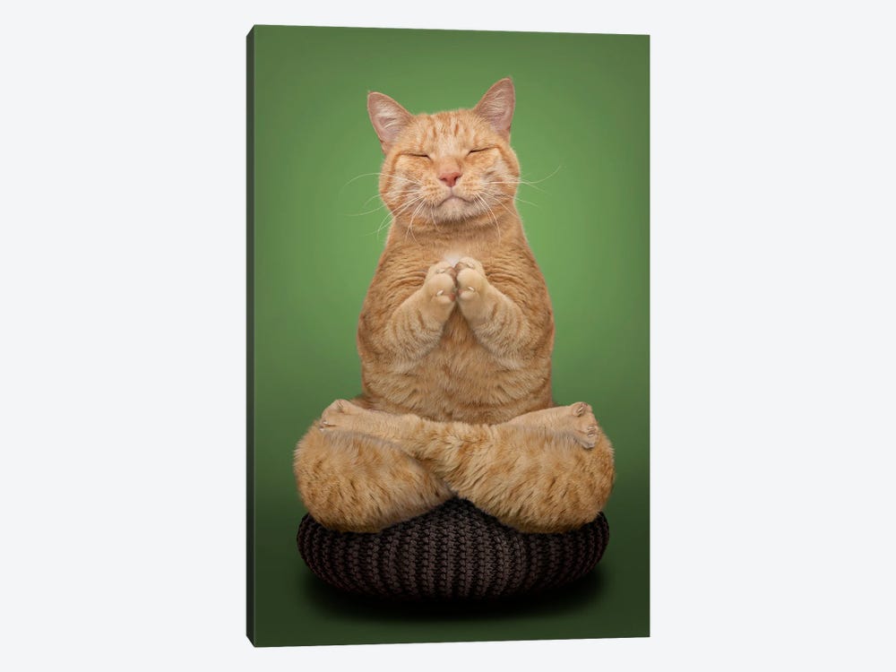Meditating Cat by Lund Roeser 1-piece Canvas Wall Art