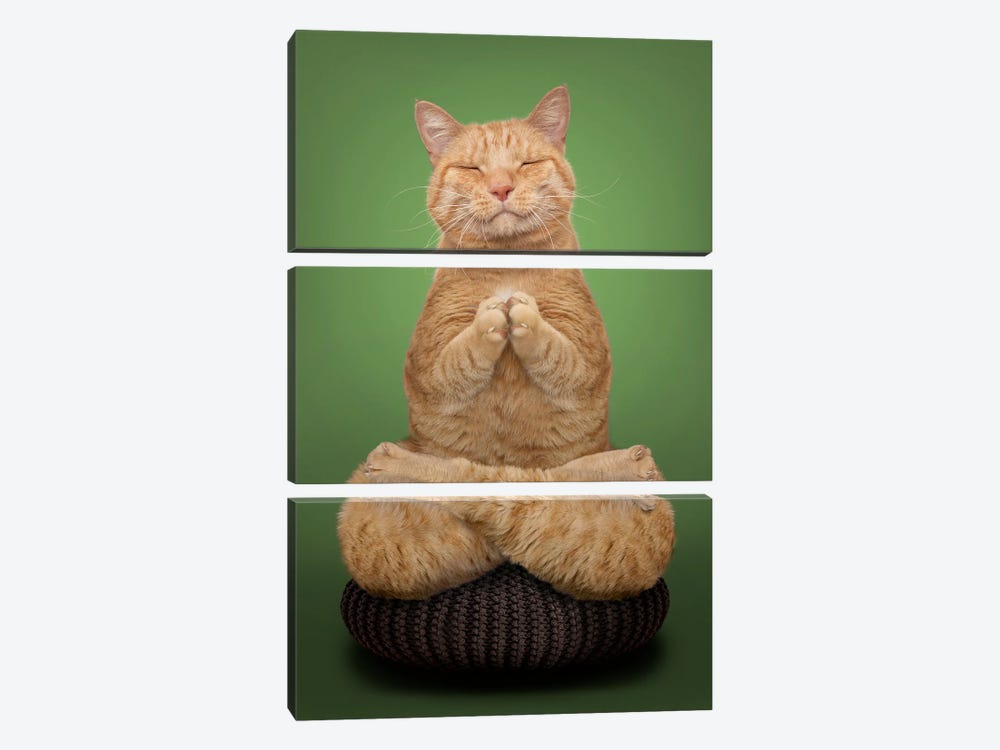 Meditating Cat by Lund Roeser 3-piece Canvas Wall Art