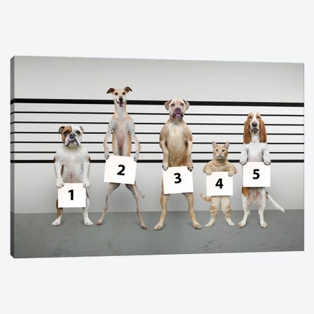 Canine-Line-Up II Canvas Print #LDZ12} by Lund Roeser Canvas Art