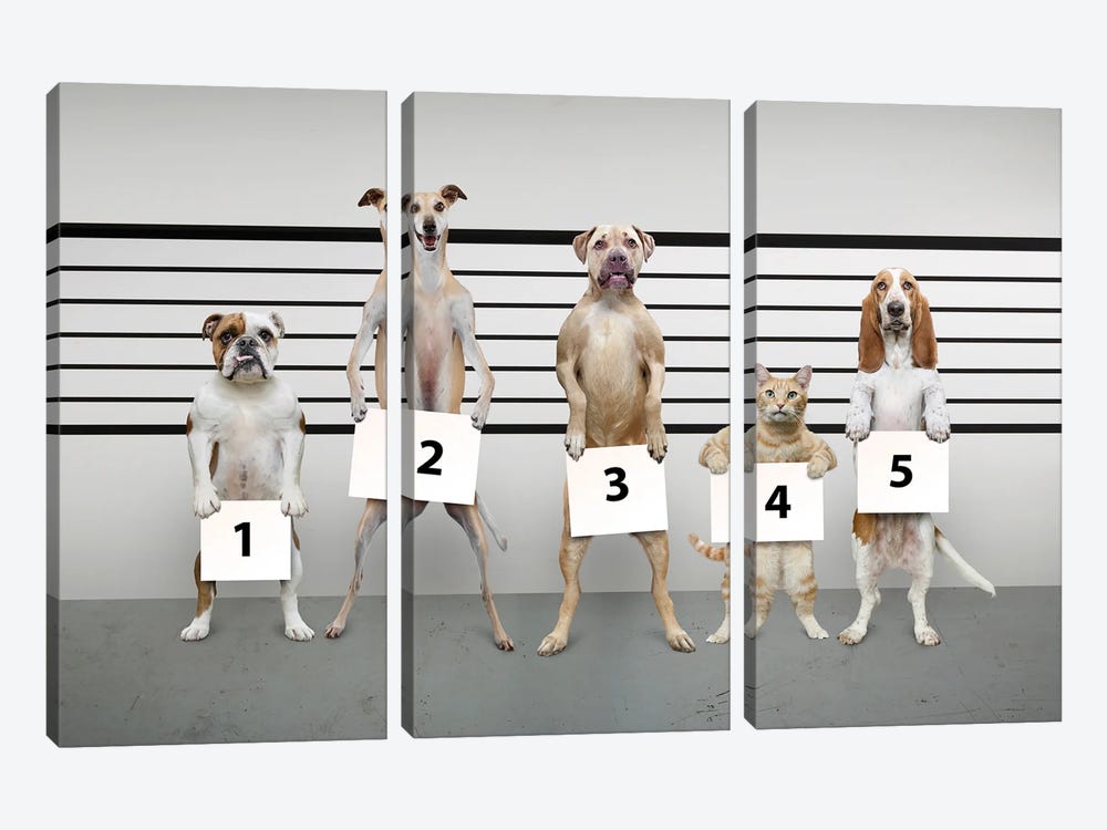 Canine-Line-Up II by Lund Roeser 3-piece Canvas Artwork
