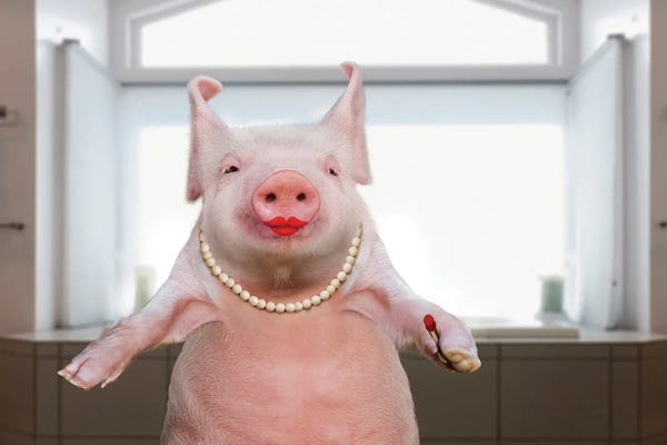 Windows: Lipstick On A Pig by Lund Roeser