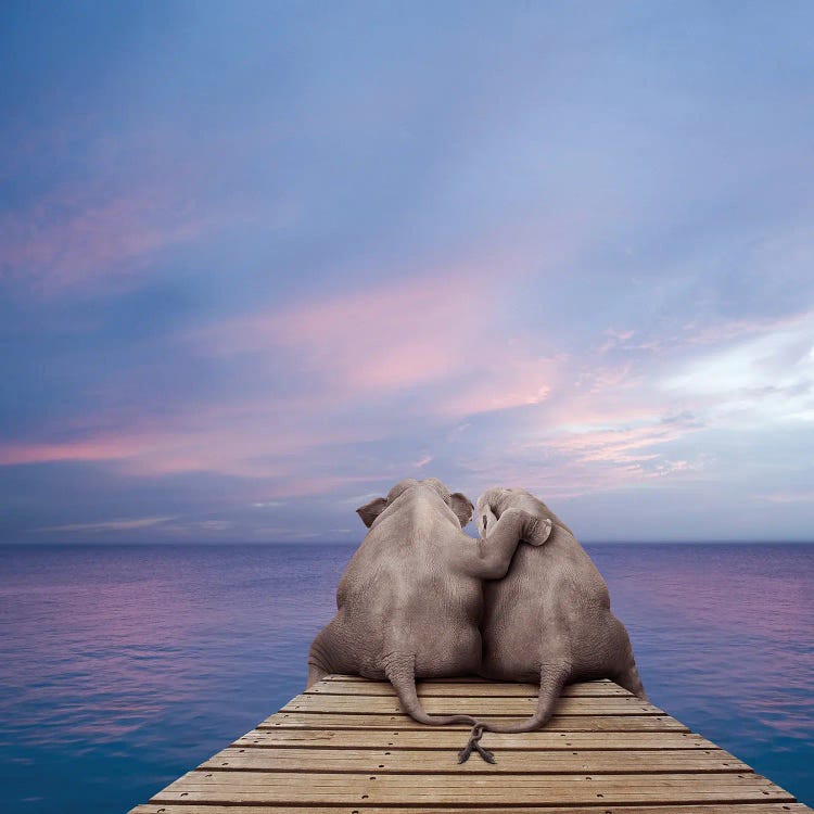 Pachyderm Pier by Lund Roeser wall art