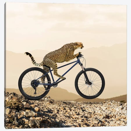 Cheetah-Ride I Canvas Print #LDZ13} by Lund Roeser Canvas Wall Art