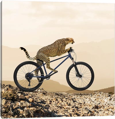 Cheetah-Ride I Canvas Art Print - Lund Roeser