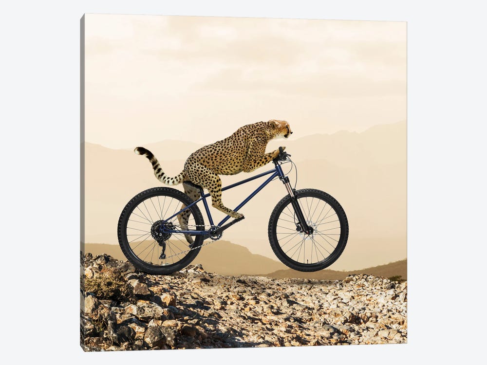 Cheetah-Ride I by Lund Roeser 1-piece Canvas Print