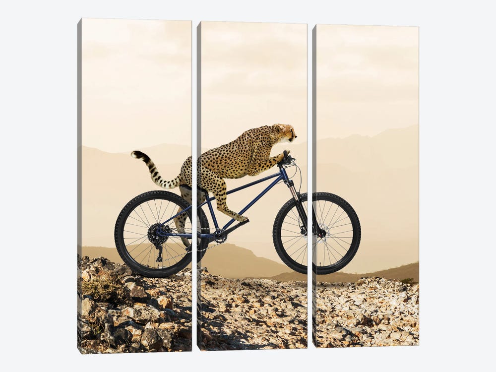 Cheetah-Ride I by Lund Roeser 3-piece Canvas Art Print