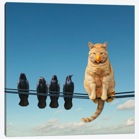Clever Cat Canvas Print #LDZ15} by Lund Roeser Canvas Print