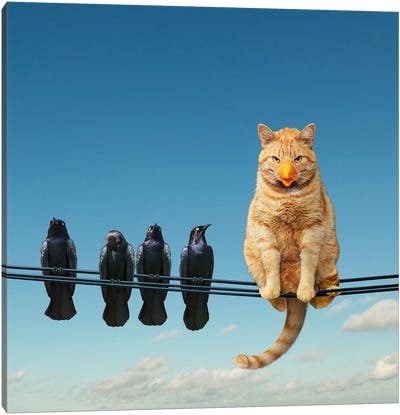 Clever Cat Canvas Art Print - Birds On A Wire