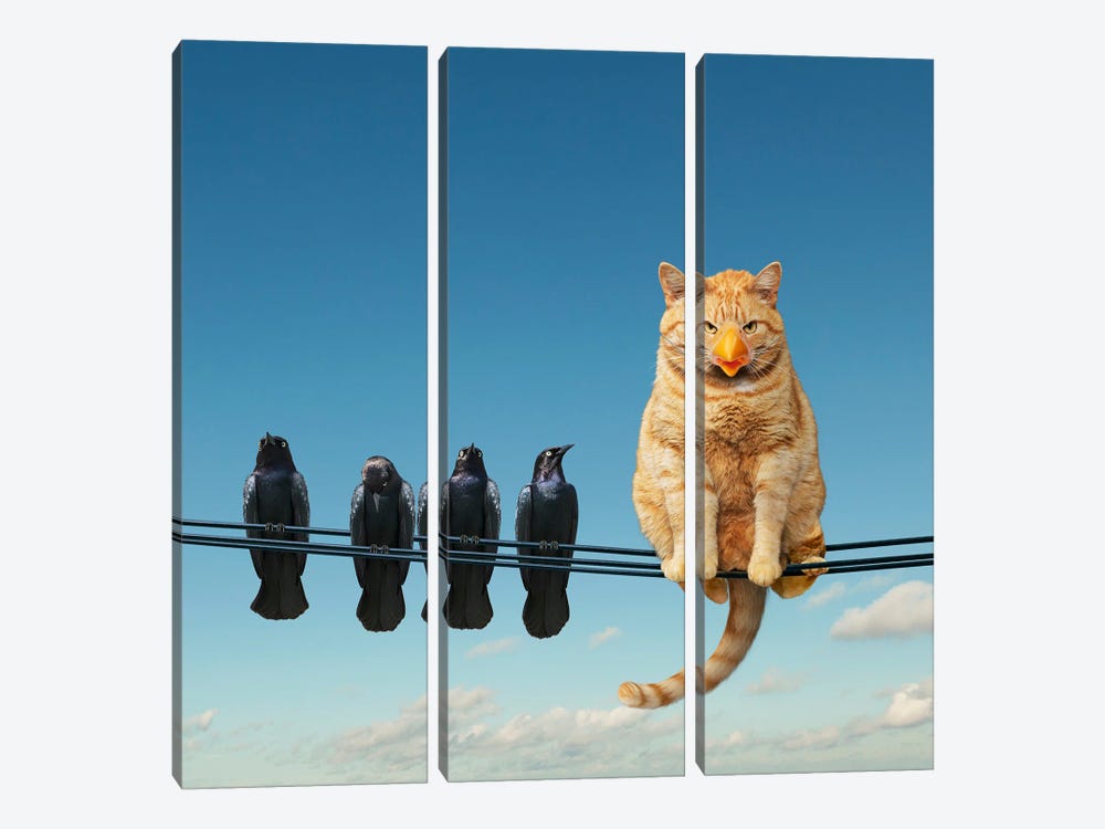 Clever Cat by Lund Roeser 3-piece Canvas Art Print