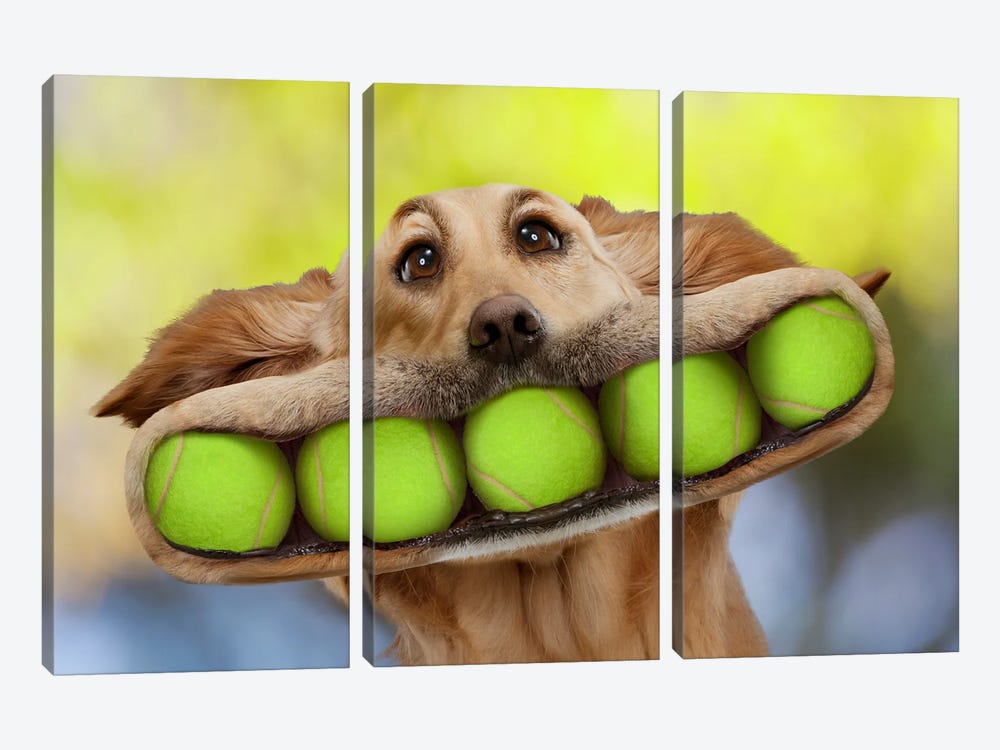 Ball Dog by Lund Roeser 3-piece Canvas Wall Art