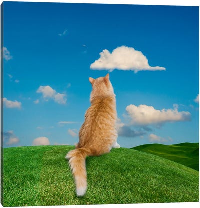 Daydreaming Cat Canvas Art Print - Hill & Hillside Art