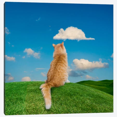 Daydreaming Cat Canvas Print #LDZ20} by Lund Roeser Art Print