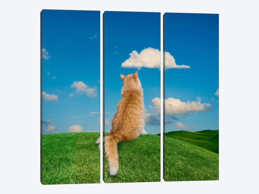 Daydreaming Cat by Lund Roeser 3-piece Art Print