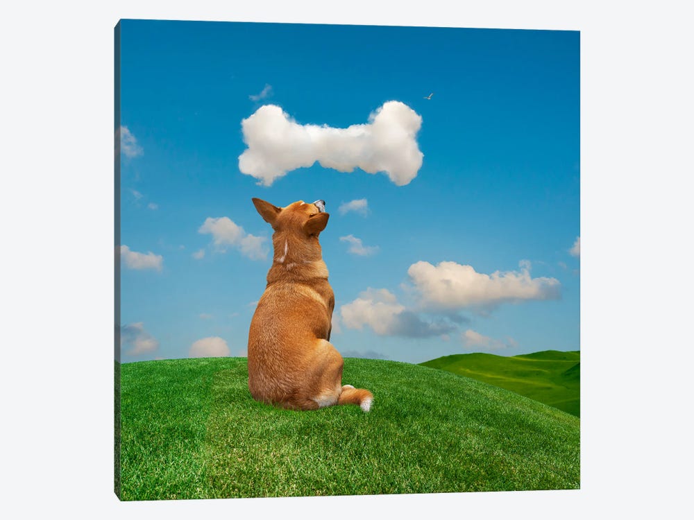 Daydreaming Dog by Lund Roeser 1-piece Canvas Wall Art
