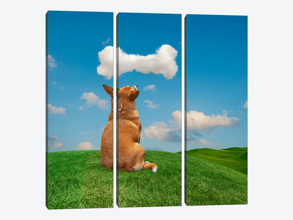 Daydreaming Dog by Lund Roeser 3-piece Canvas Artwork