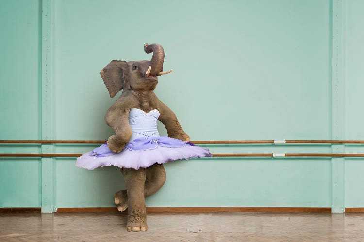 Elephant Barre