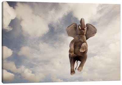 Elephant Flight Canvas Art Print - Lund Roeser