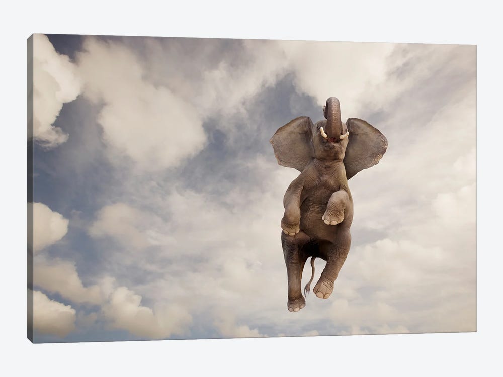 Elephant Flight by Lund Roeser 1-piece Canvas Art