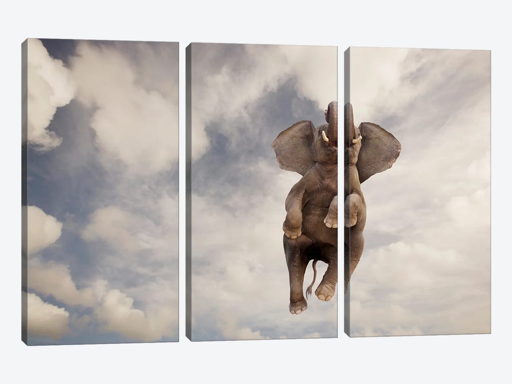 Elephant Flight by Lund Roeser 3-piece Canvas Artwork