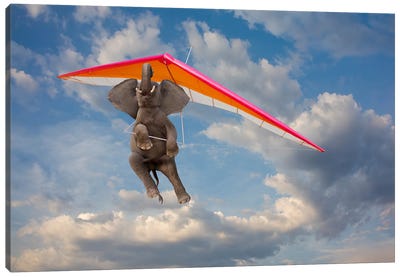 Elephant Flight II Canvas Art Print - Extreme Sports Art