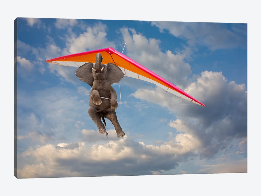 Elephant Flight II by Lund Roeser 1-piece Canvas Print