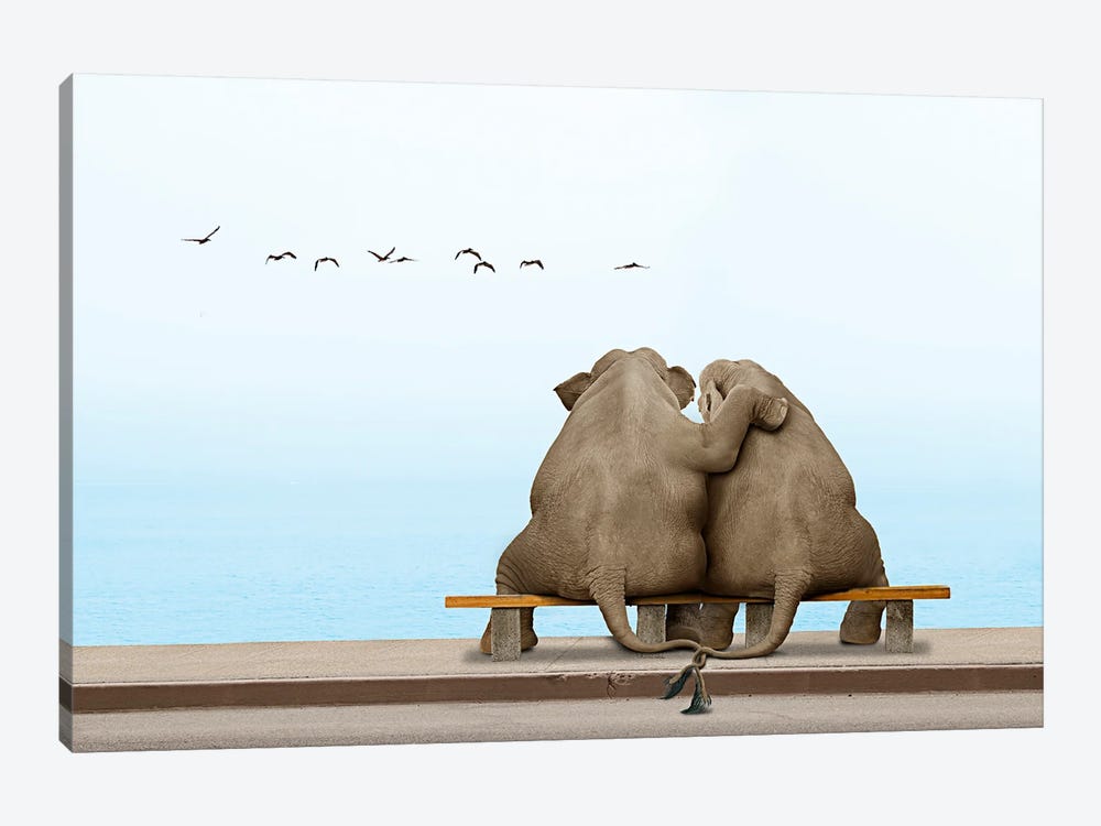 Elephant Love II by Lund Roeser 1-piece Canvas Print
