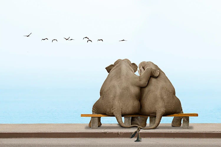 Elephant Love II