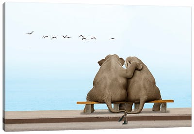Elephant Love II Canvas Art Print - Lund Roeser