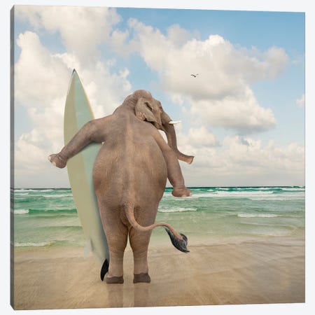 Elephant Surf Canvas Print #LDZ27} by Lund Roeser Canvas Art