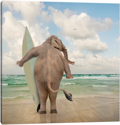 Elephant Surf Canvas Art Print - Lund Roeser