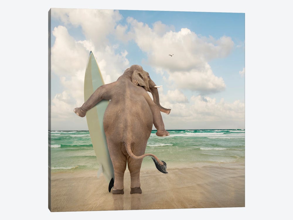 Elephant Surf by Lund Roeser 1-piece Canvas Artwork