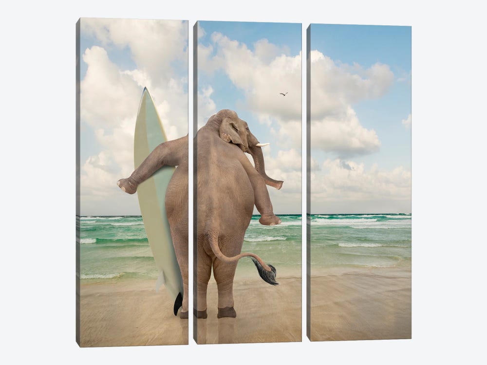 Elephant Surf by Lund Roeser 3-piece Canvas Wall Art