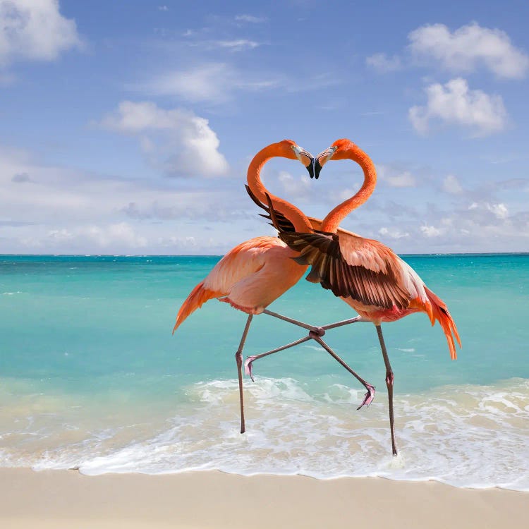 Flamingo Love by Lund Roeser wall art