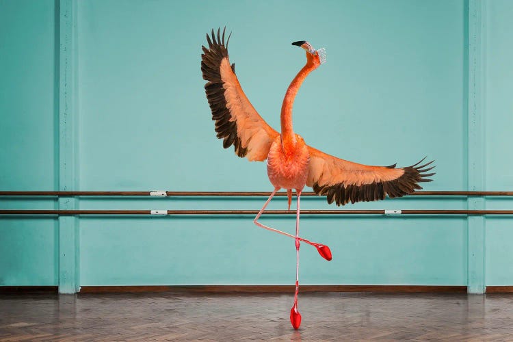 Flamingo On Pointe