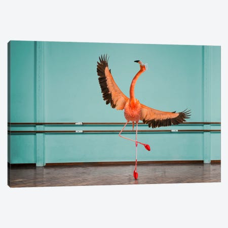 Flamingo On Pointe Canvas Print #LDZ29} by Lund Roeser Canvas Print