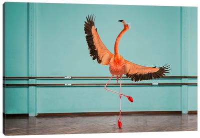 Flamingo On Pointe Canvas Art Print - Turquoise Art