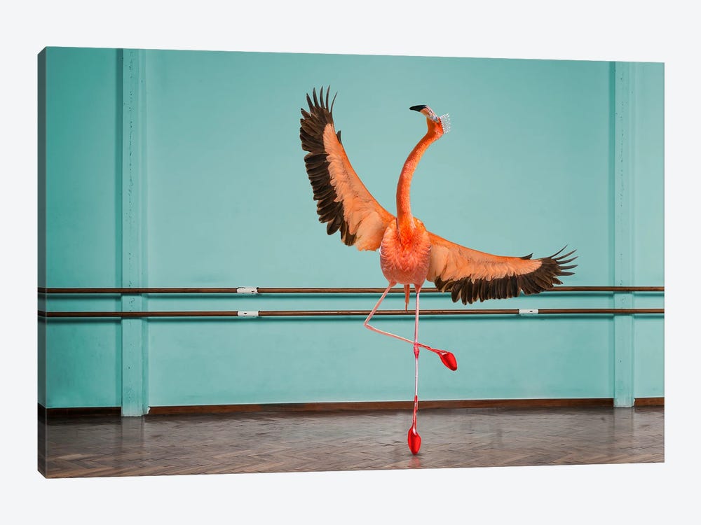 Flamingo On Pointe by Lund Roeser 1-piece Canvas Wall Art