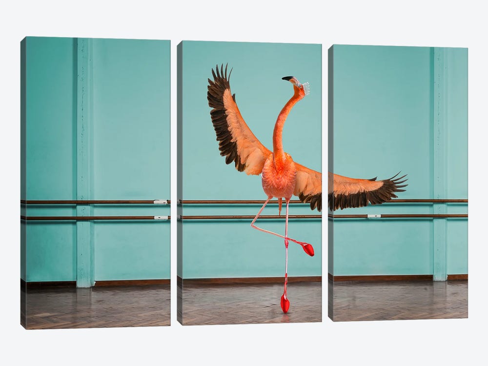 Flamingo On Pointe by Lund Roeser 3-piece Canvas Artwork
