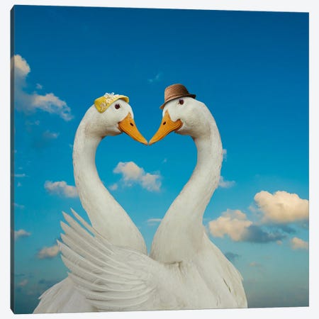 Goose And Gander Canvas Print #LDZ30} by Lund Roeser Canvas Art