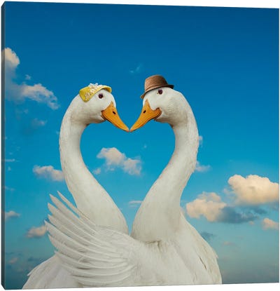 Goose And Gander Canvas Art Print - Hat Art